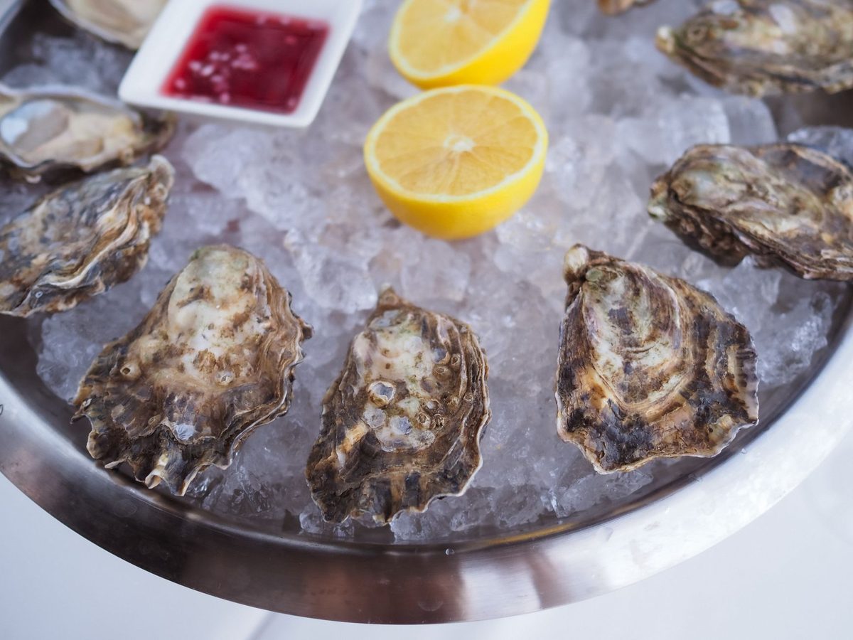 Oysters on ice
